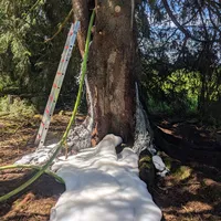 Waldbrand.jpg